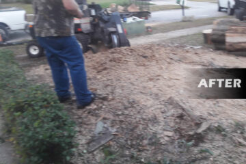 our work stump removal after