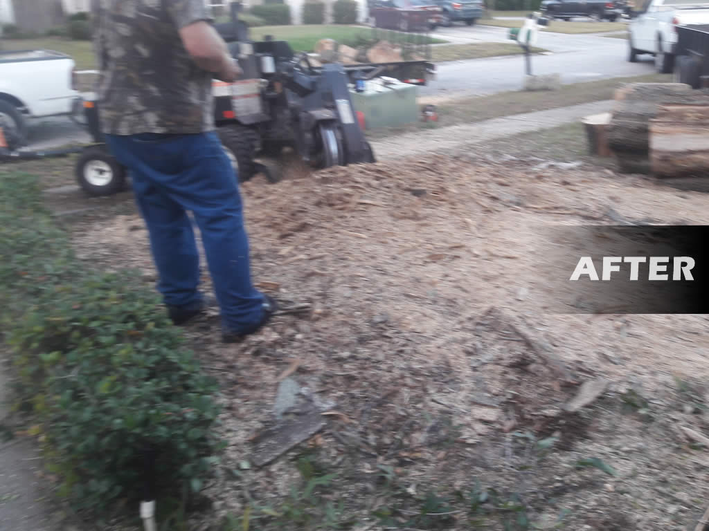 our work stump removal after